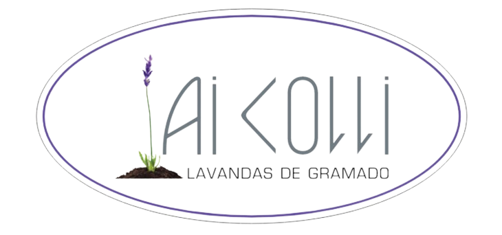 Aicolli