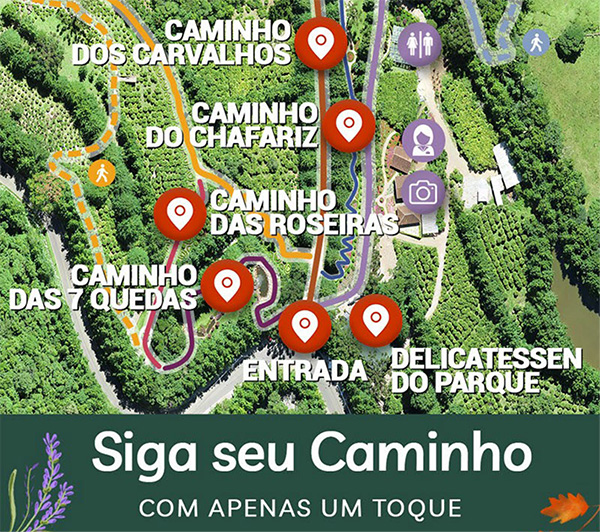 SEO Local & Google Maps Ads
